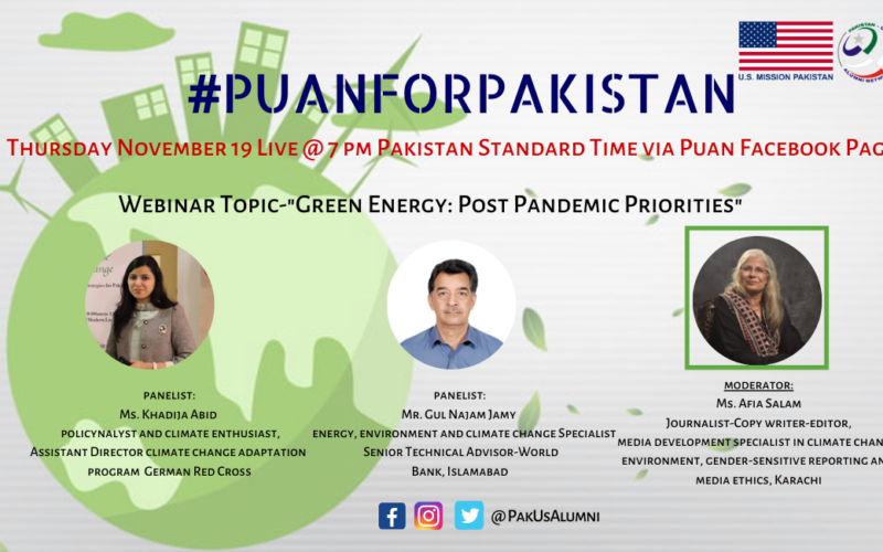 PUAN for Pakistan: Webinar on Green Energy: Post-Pandemic Priorities